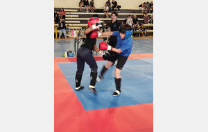 67190bc82538a_Boxe3.jpg