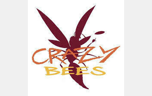 ULTIMATE FRIZBEE ( CRAZY BEES )